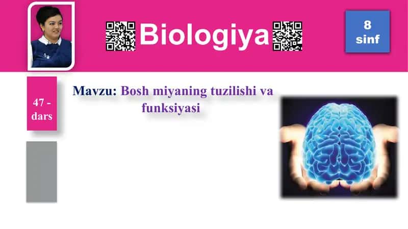 Boshmiyaning tuzilishi va funksiyasi 1
