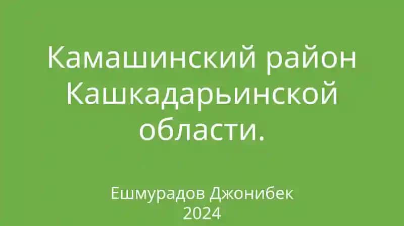 Камашинский район