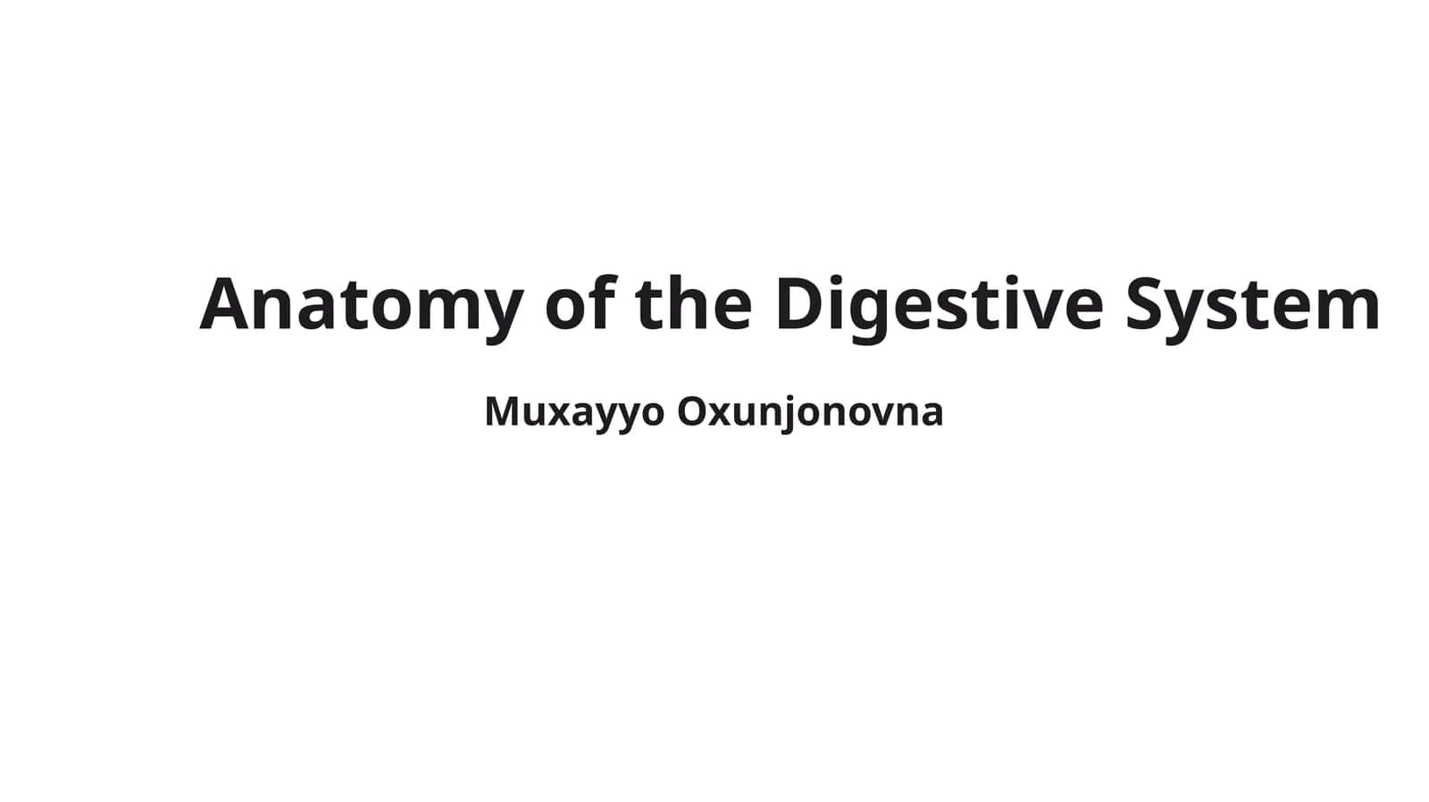 Anatomy of the Digestive System 1