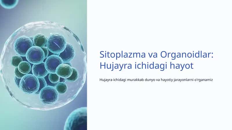 Sitoplazma va Organoidlar: Hujayra ichidagi hayot 1