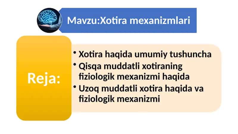 Xotira mexanizmlari 1