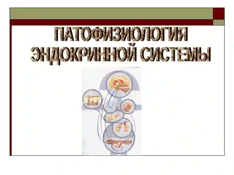 ПАТОФИЗИОЛОГИЯ ЭНДОКРИННОЙ СИСТЕМЫ