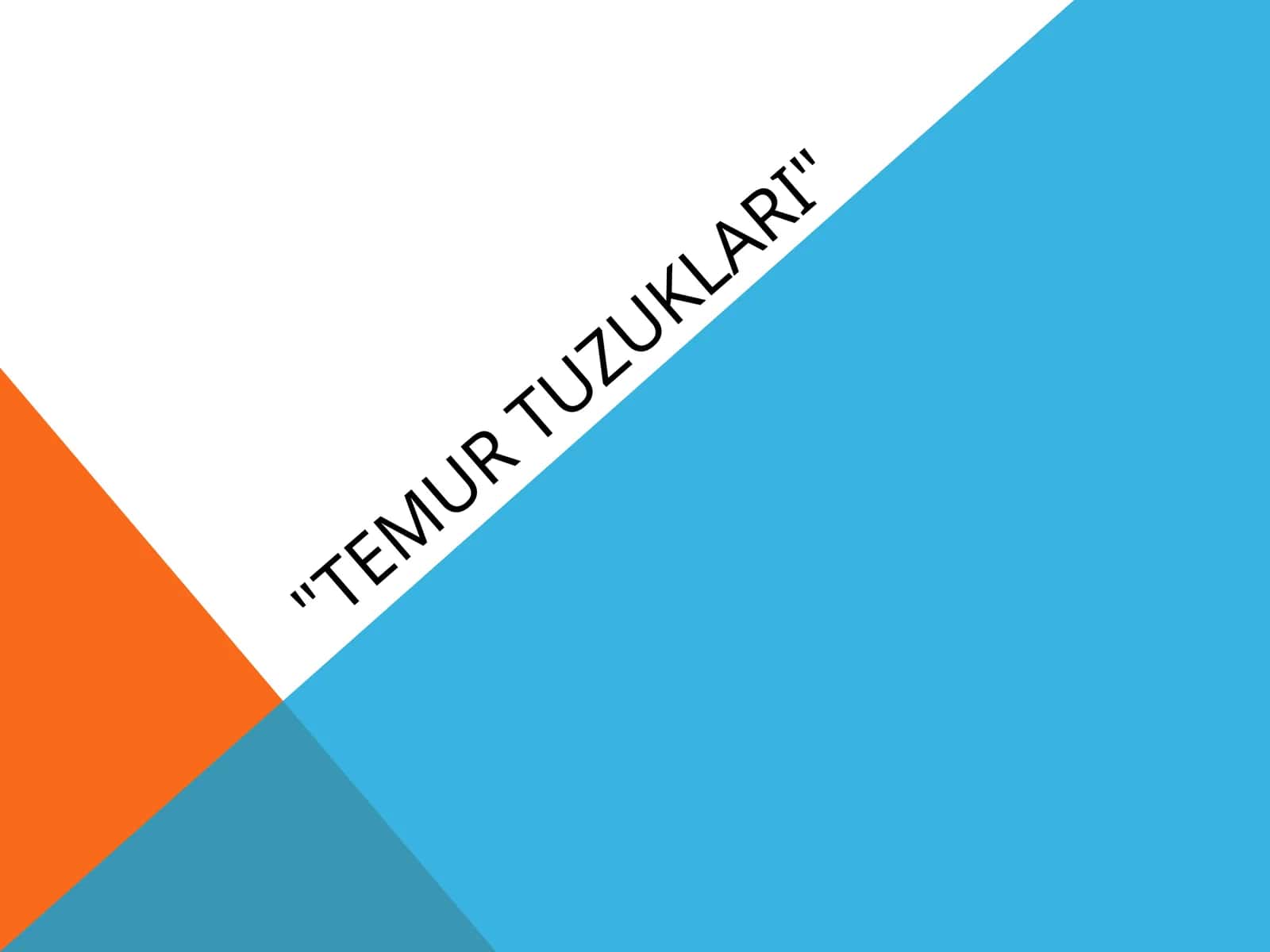 Temur tuzuklari 1