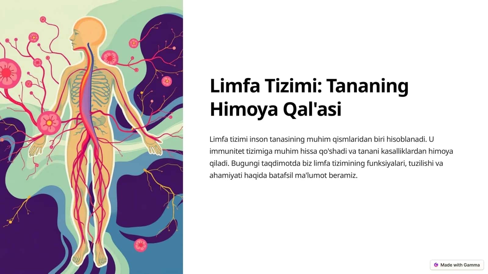Limfa Tizimi Tananing Himoya Qal'asi 1