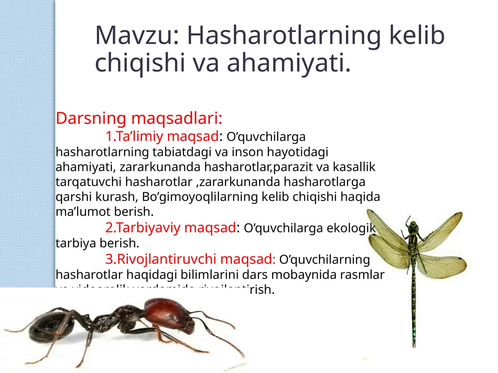 Hasharotlarning kelib chiqishi va ahamiyati 1