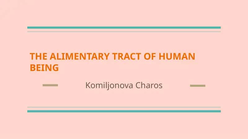 THE ALIMENTARY TRACT OF HUMAN BEING 1