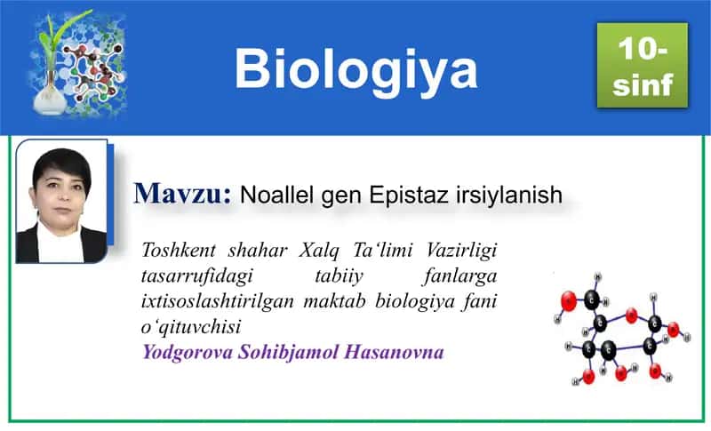 Noallel gen Epistaz irsiylanish 1