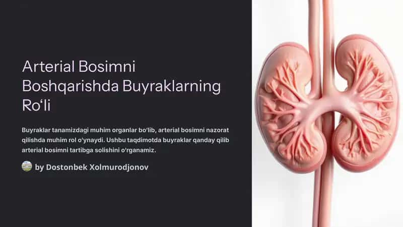 Arterial Bosimni Boshqarishda Buyraklarning Ro‘li 1