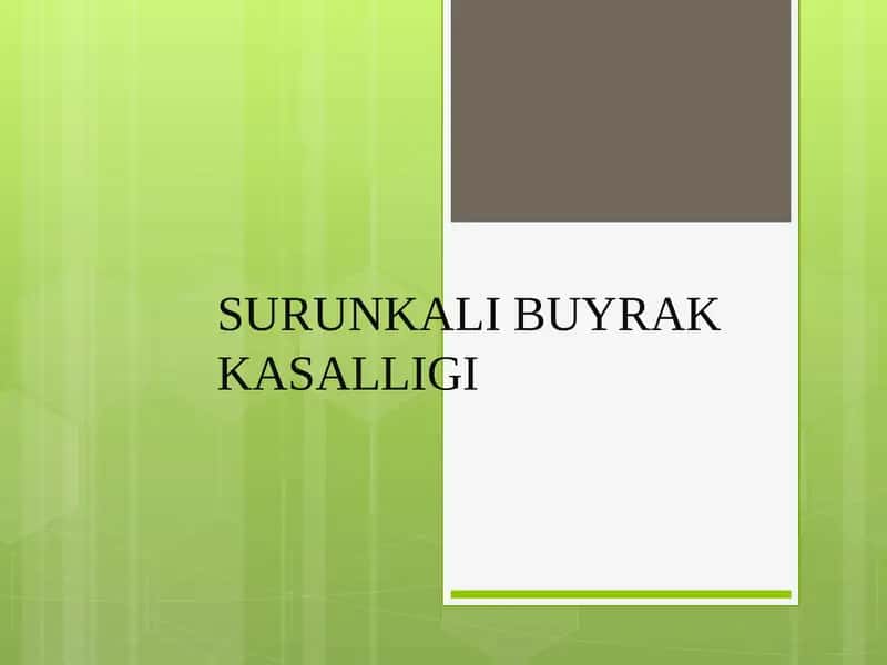 SURUNKALI BUYRAK KASALLIGI 1