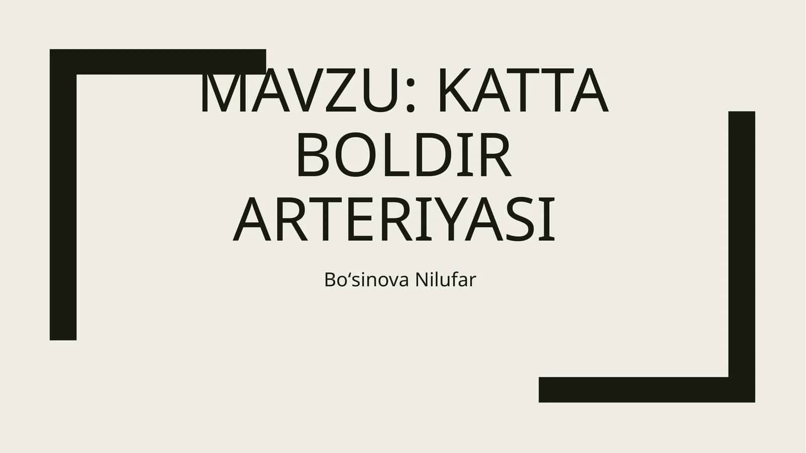 Katta boldir arteriyasi 1