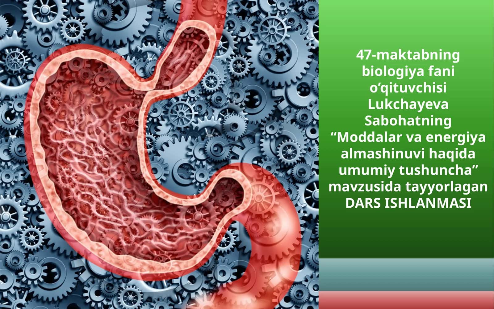 8-sinf Biologiya fanidan Moddalar energiya almashinuvi dars ishlanma 1