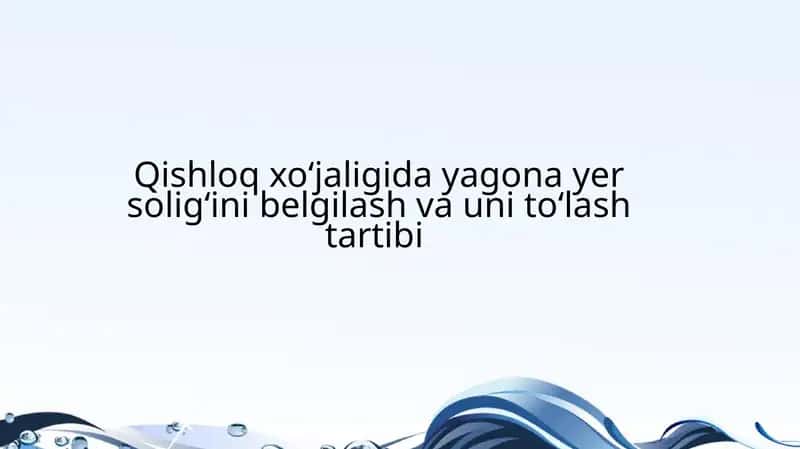 Yagona yersoligʻi 1