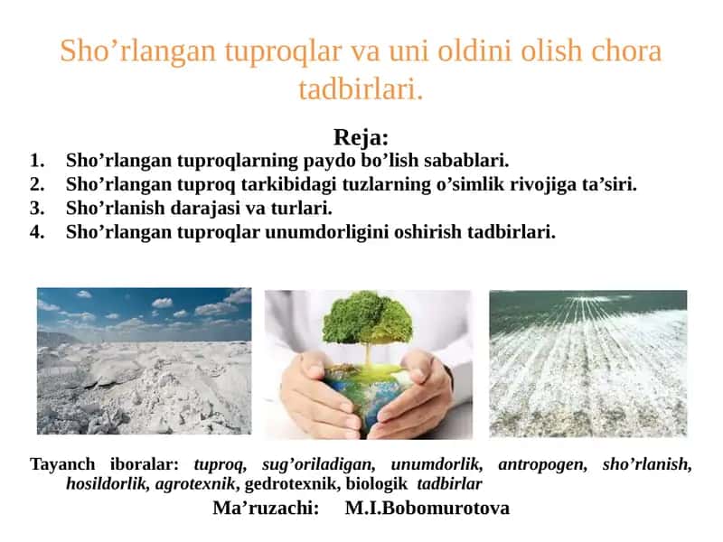 Sho’rlangan tuproqlar va uni oldini olish chora tadbirlari 1