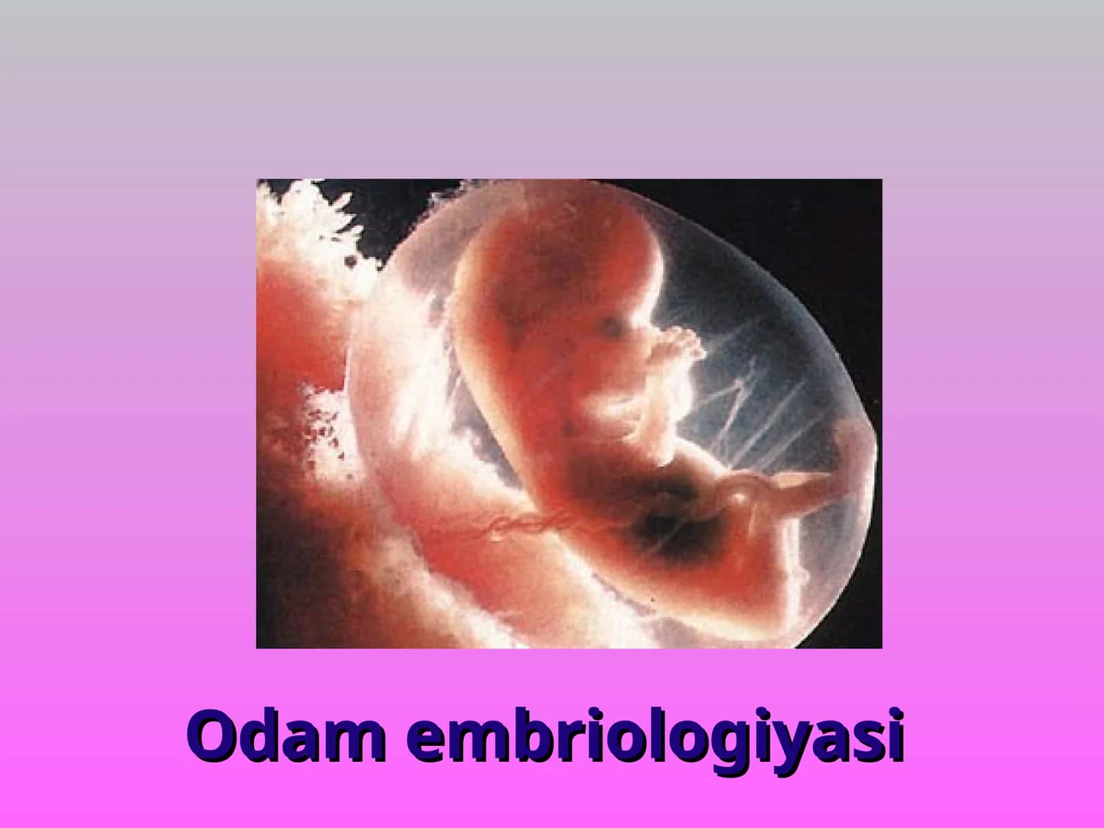 Odam embriologiyasi 1