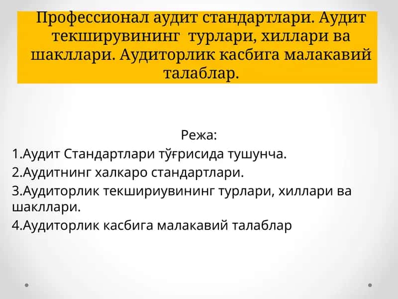 Аудит стандартлари 1