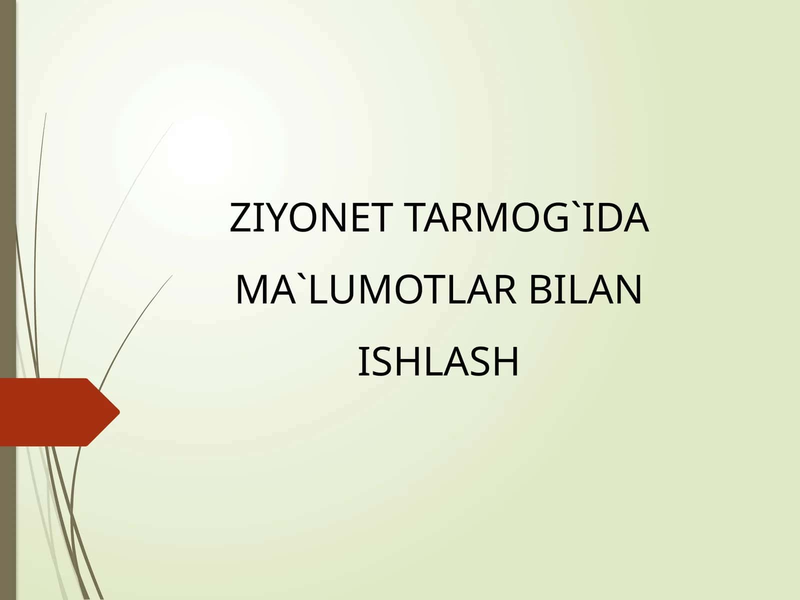 ZIYONET TARMOG`IDA MA`LUMOTLAR BILAN ISHLASH 1