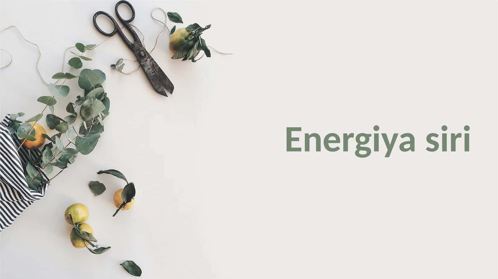 Energiya-siri 1
