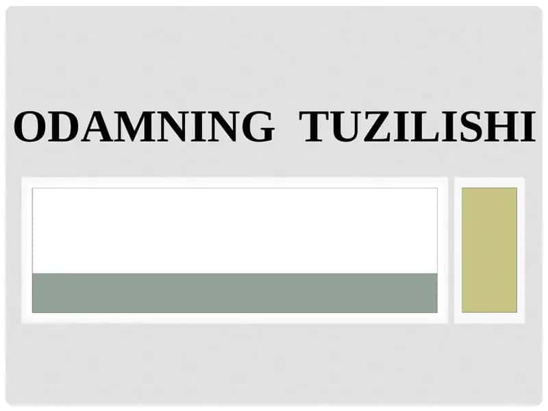 Odamning Tuzilishi 1