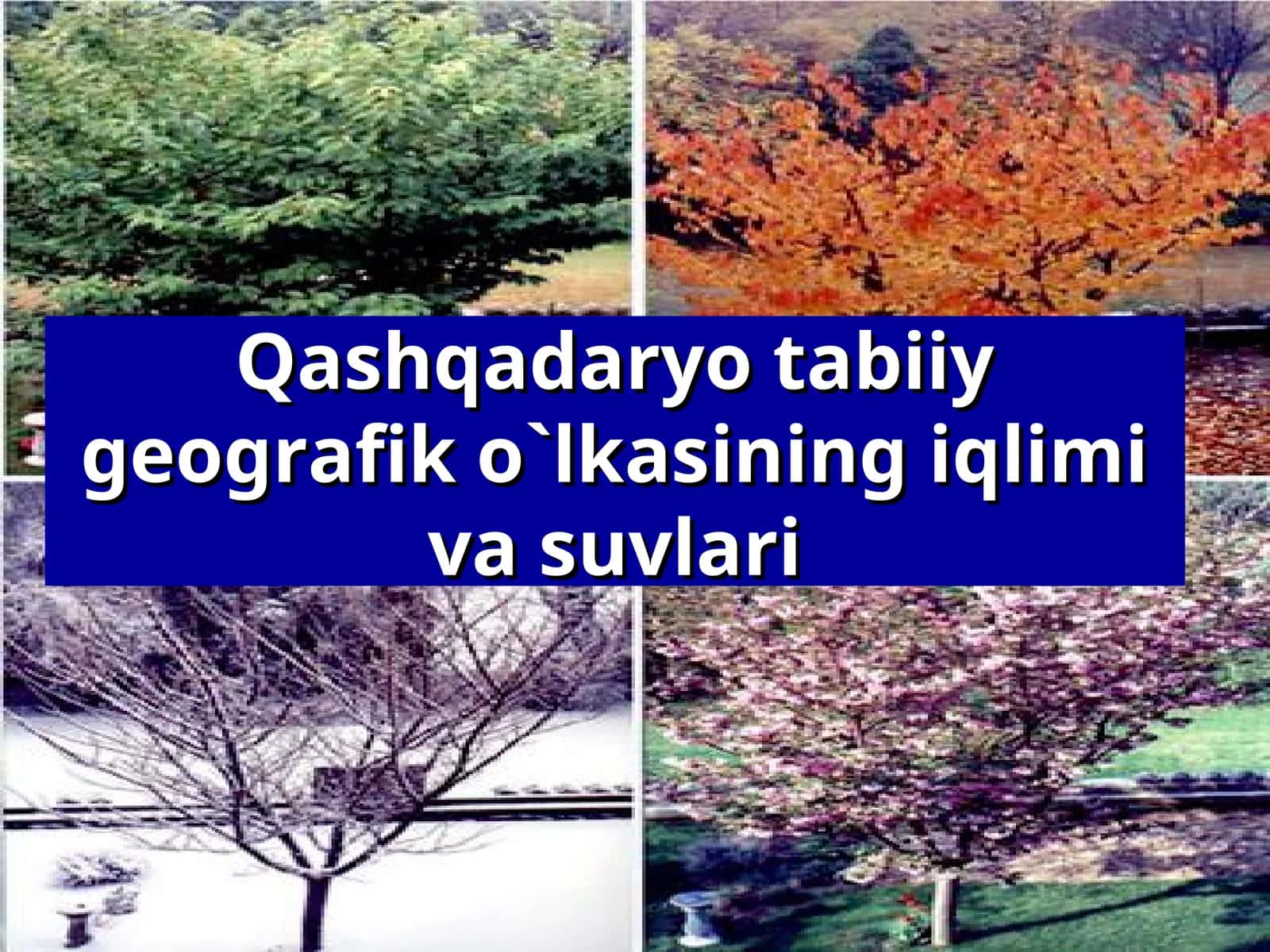 Qashqadaryo tabiiy geografik o`lkasining iqlimi va suvlari 1