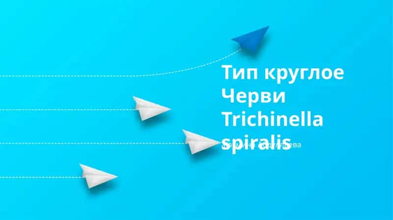 Тип круглое Черви 1