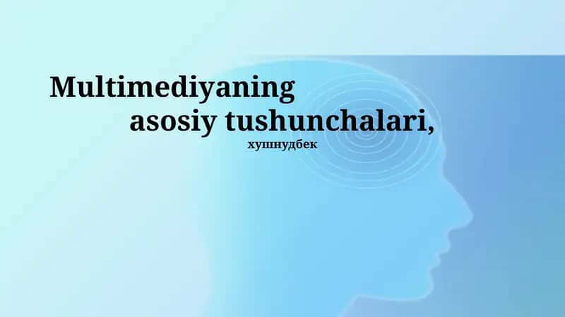 Multimediya 1