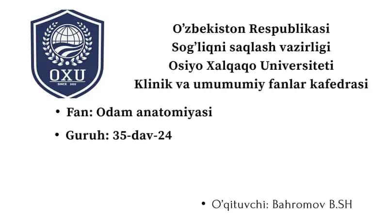 Gipotalamus o'zaklari va ularning klinik ahamiyati 1