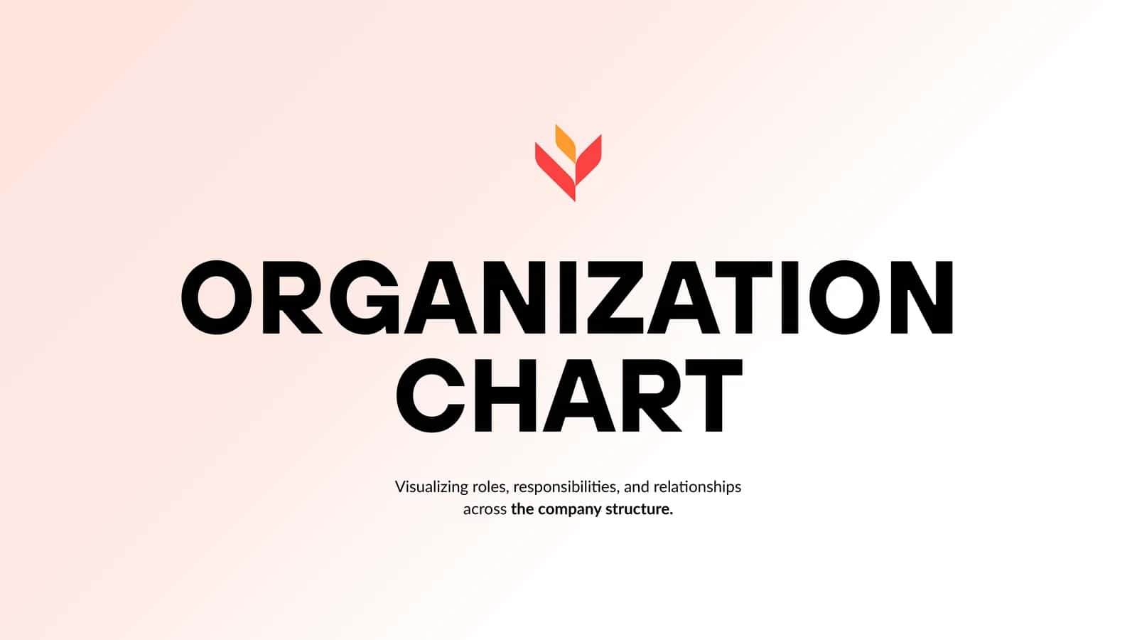 ORGANIZATION CHART 1