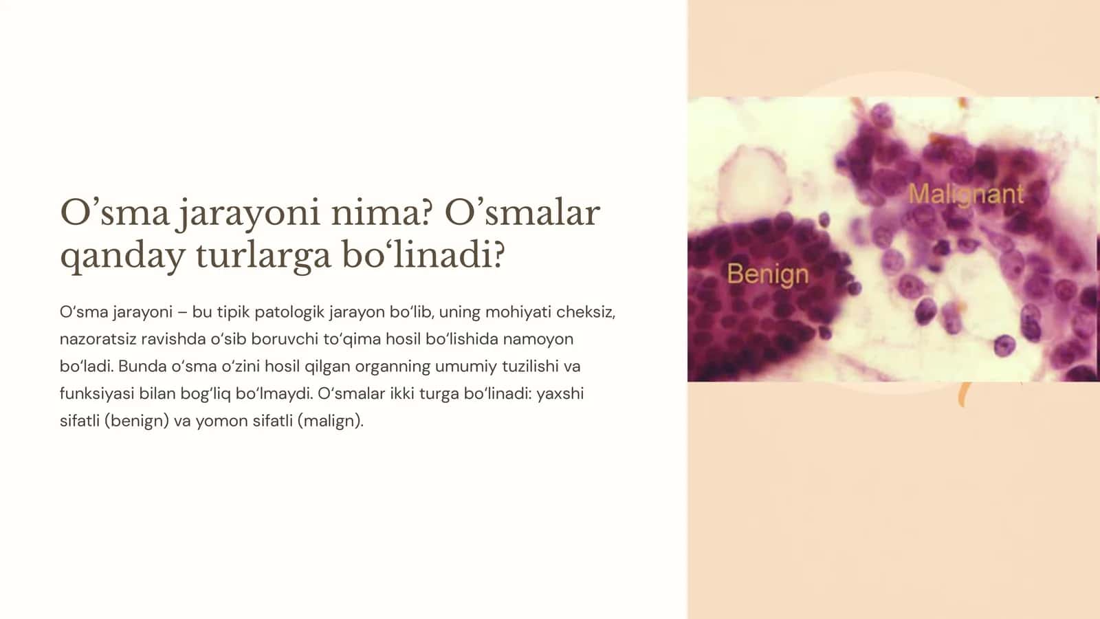 O’sma jarayoni nima? O’smalar qanday turlarga bo‘linadi 1