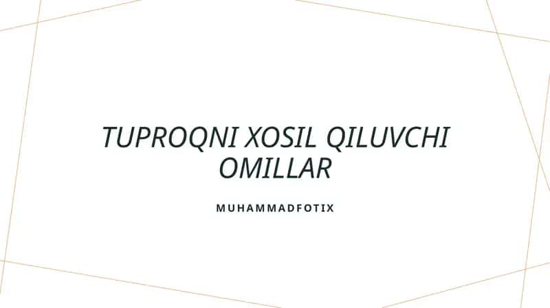 Tuproqni xosil qiluvchi omillar 1