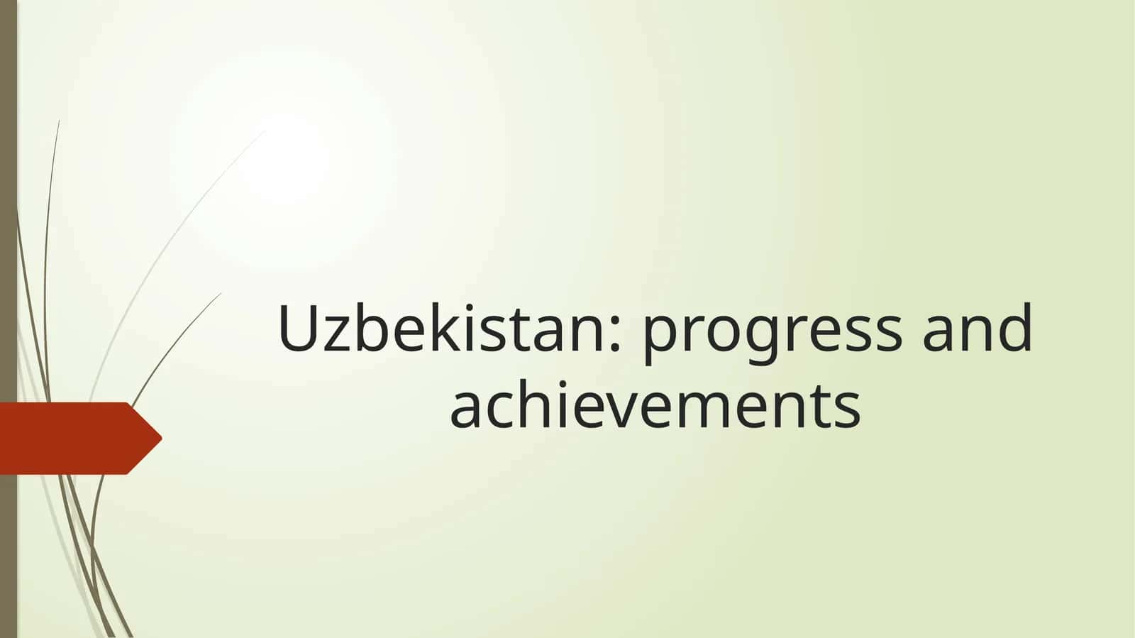 Uzbekistan: progress and achievements 1