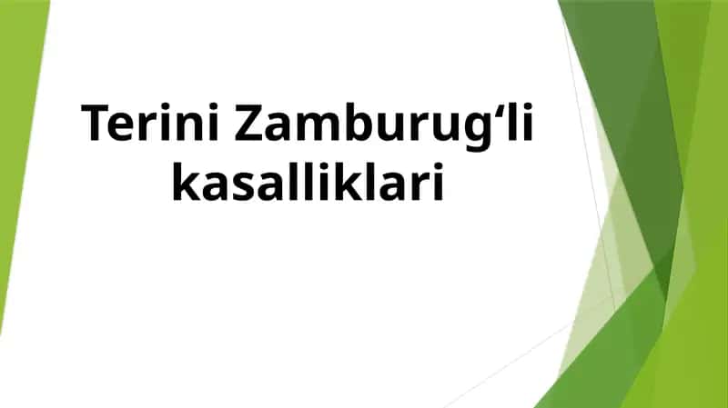 Terini Zamburugʻlikasalliklari 1