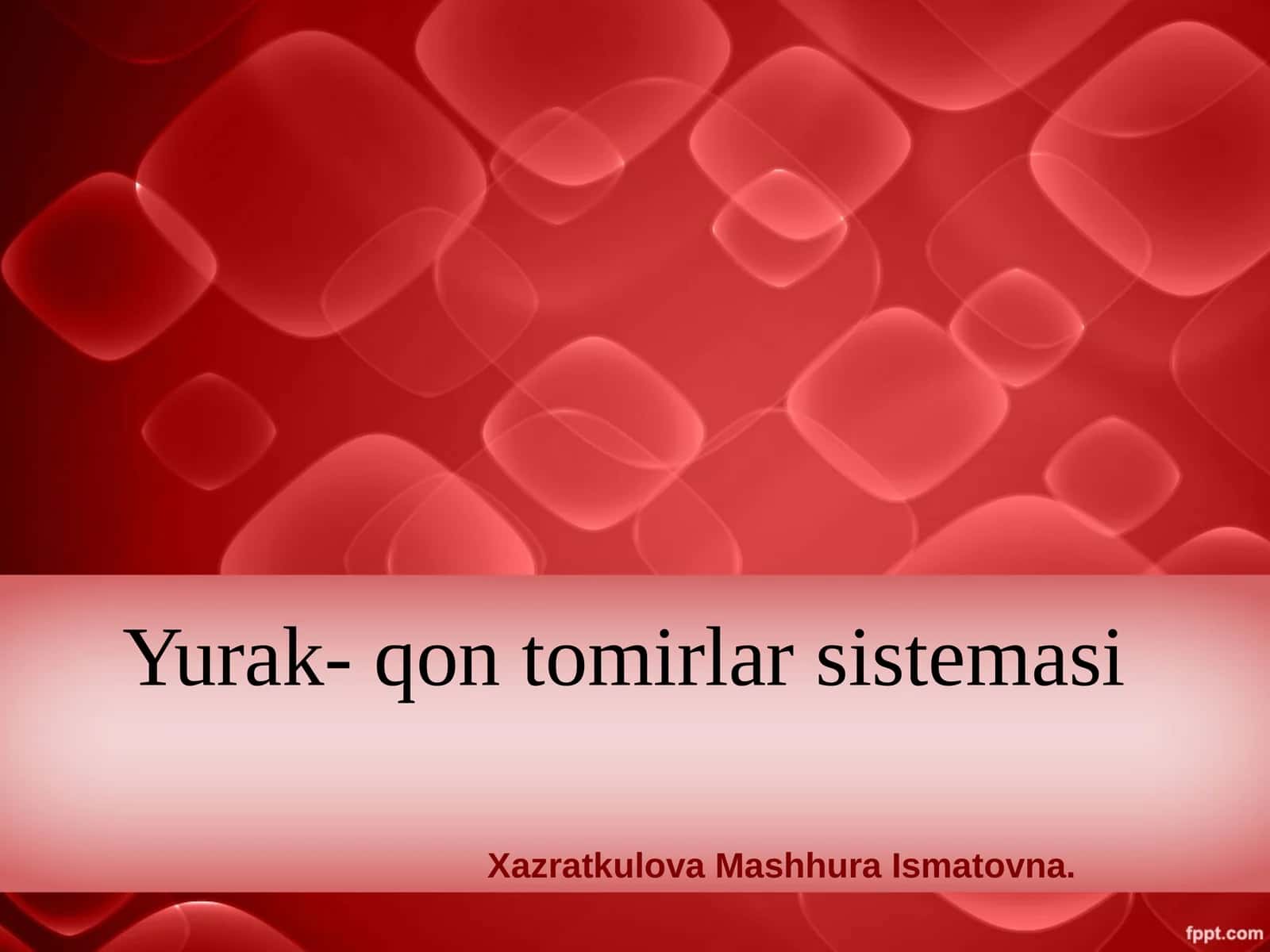 Yurak-qontomirlar sistemasi 1
