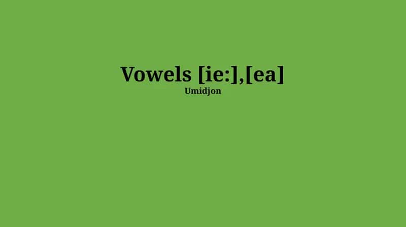 Fundamentals of Vowels 1