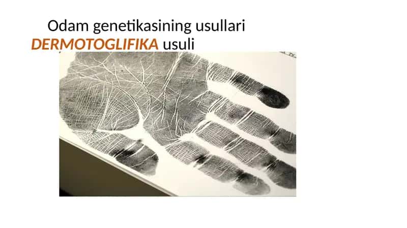 Odam genetikasining usullari: DERMOTOGLIFIKA usuli 1