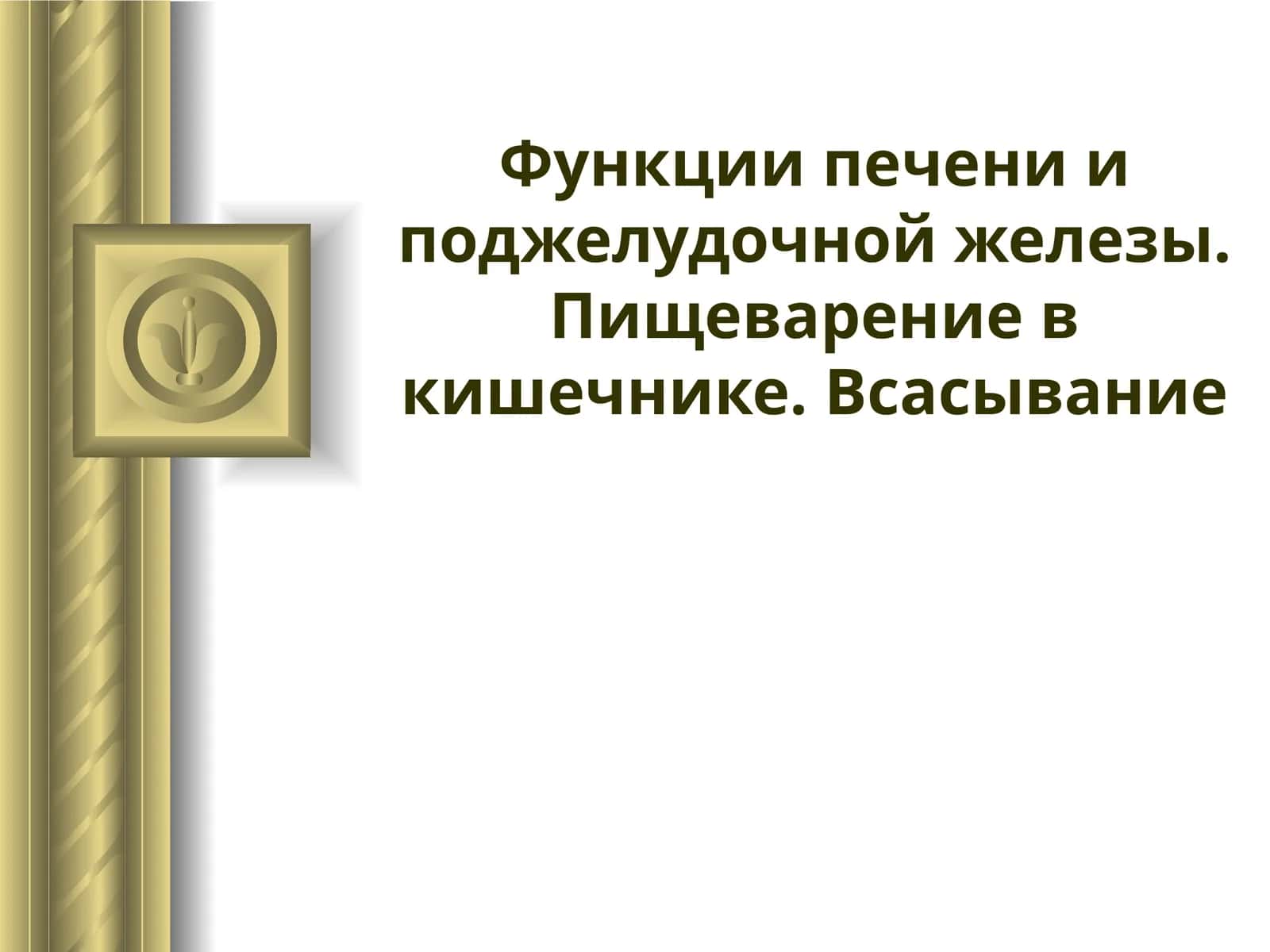 ТРИ ЗВЕНА ПИЩЕВАРЕНИЯ В ТОНКОЙ КИШКЕ 1