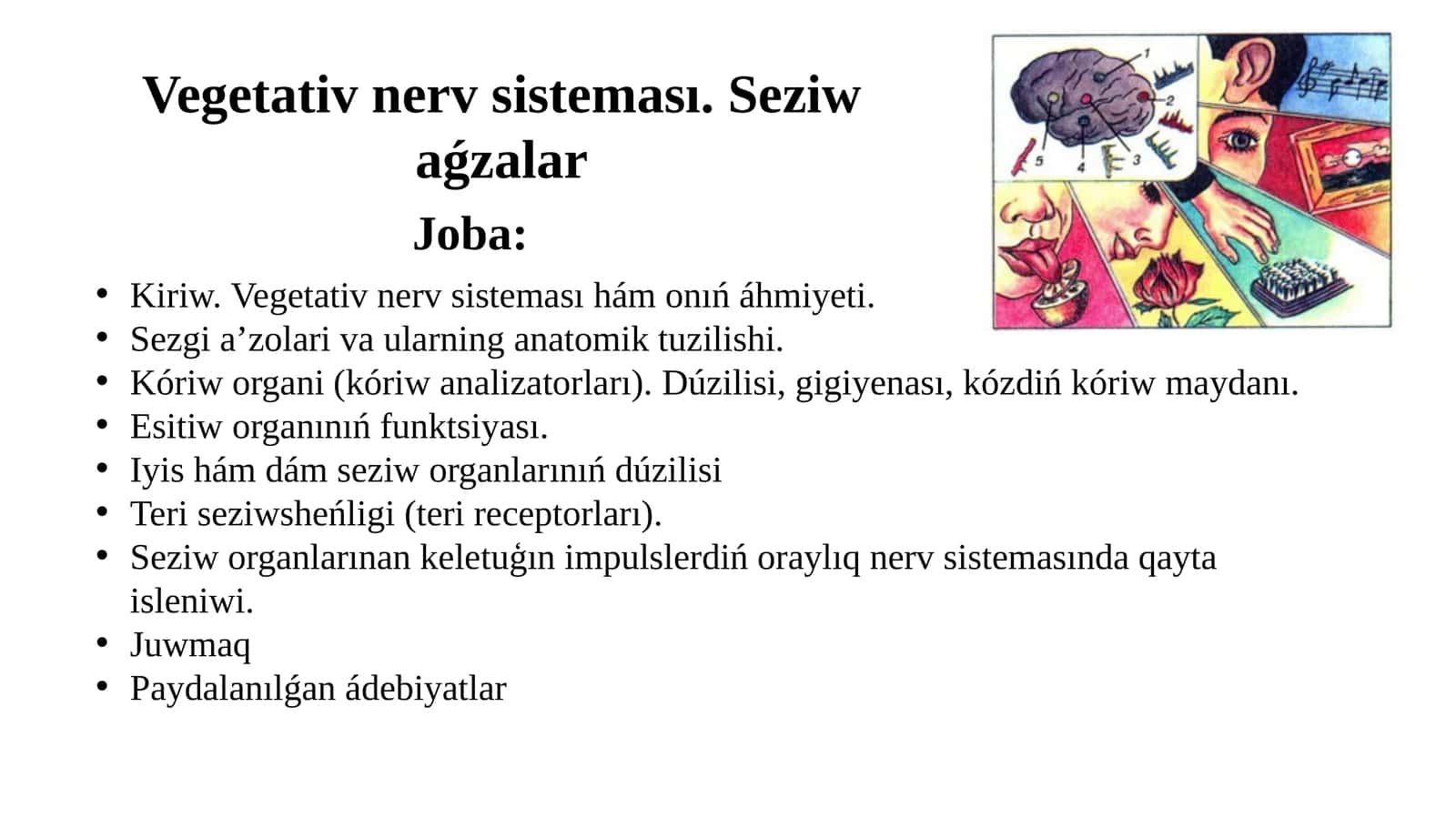 Vegetativ nerv sisteması. Seziw aǵzalar 1