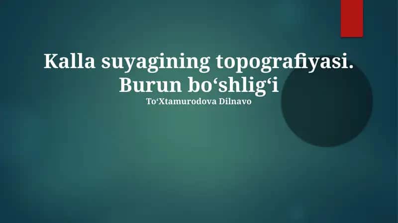 Burun Bo'shlig'i Anatomiyasi 1