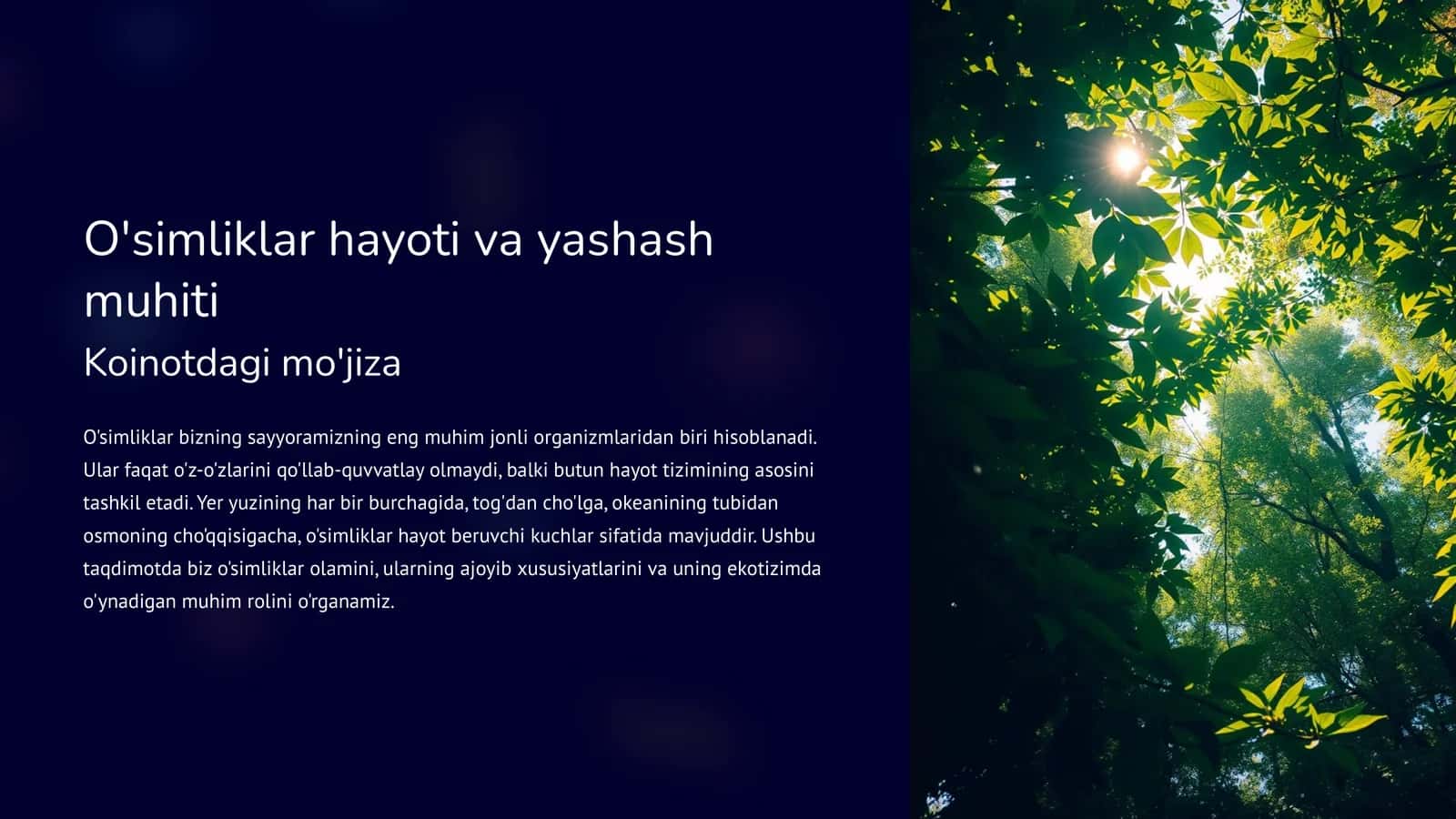 O'simliklar hayoti va yashash muhiti 1