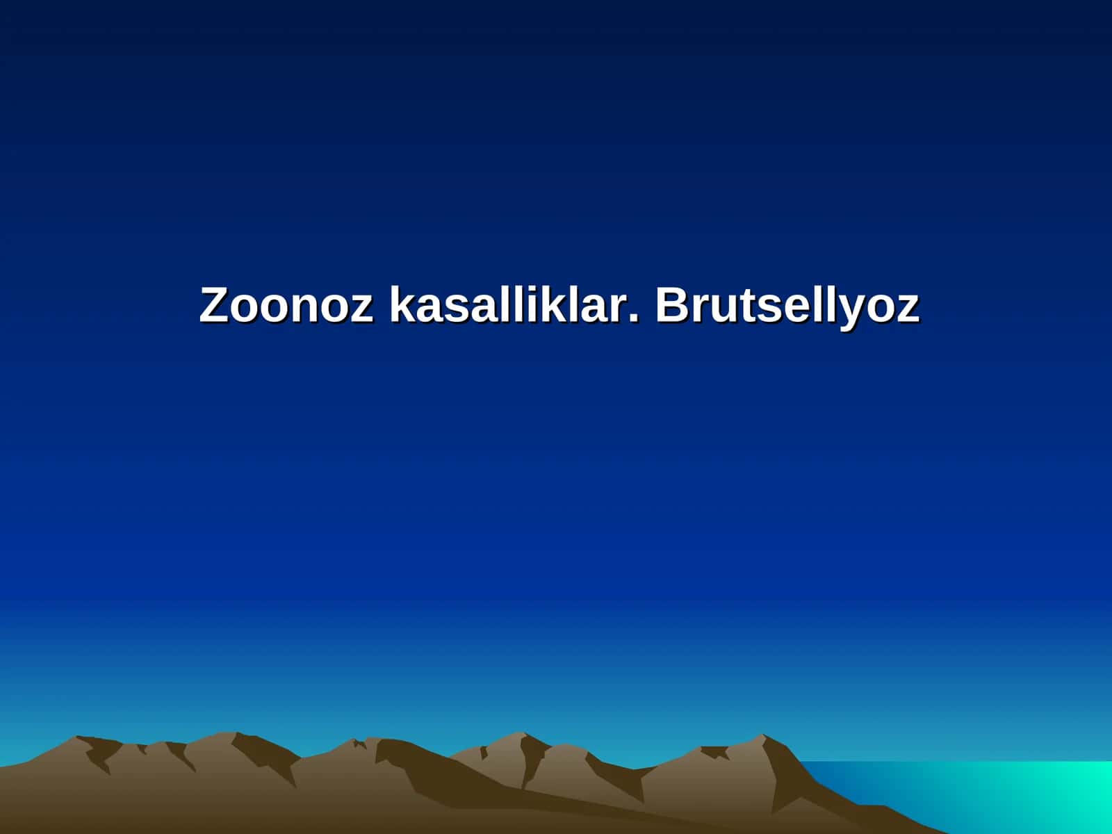 Brutsellyoz 1