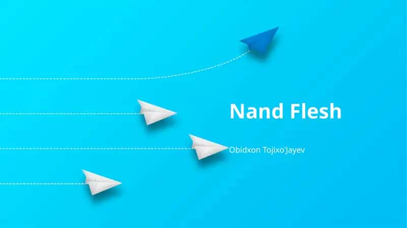 Nand Flesh 1