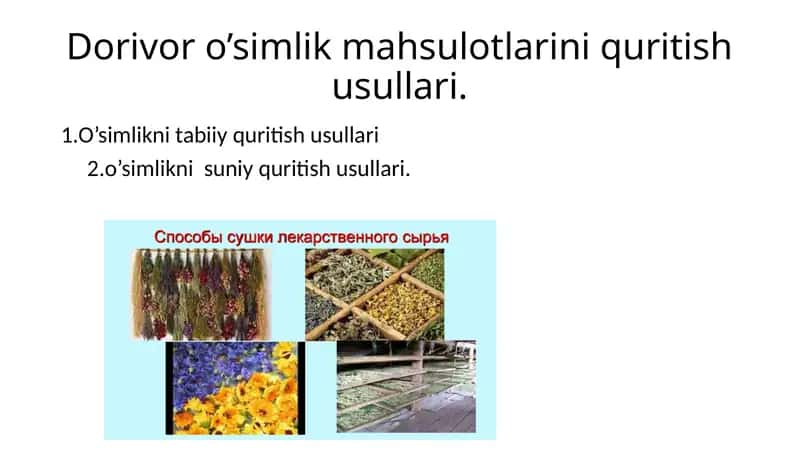 Dorivor o’simlik mahsulotlarini quritish usullari. 1