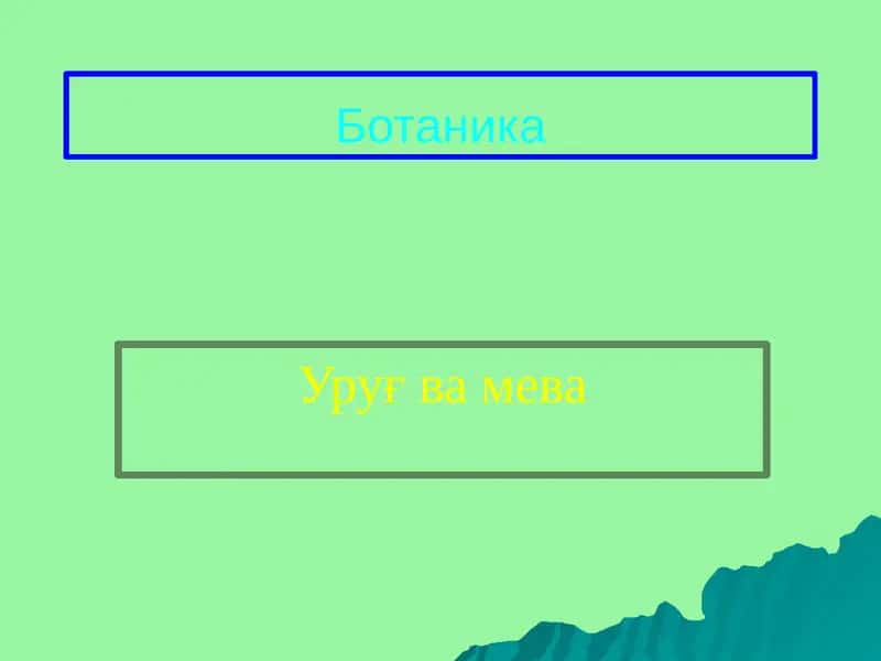 Уруғва мева 1