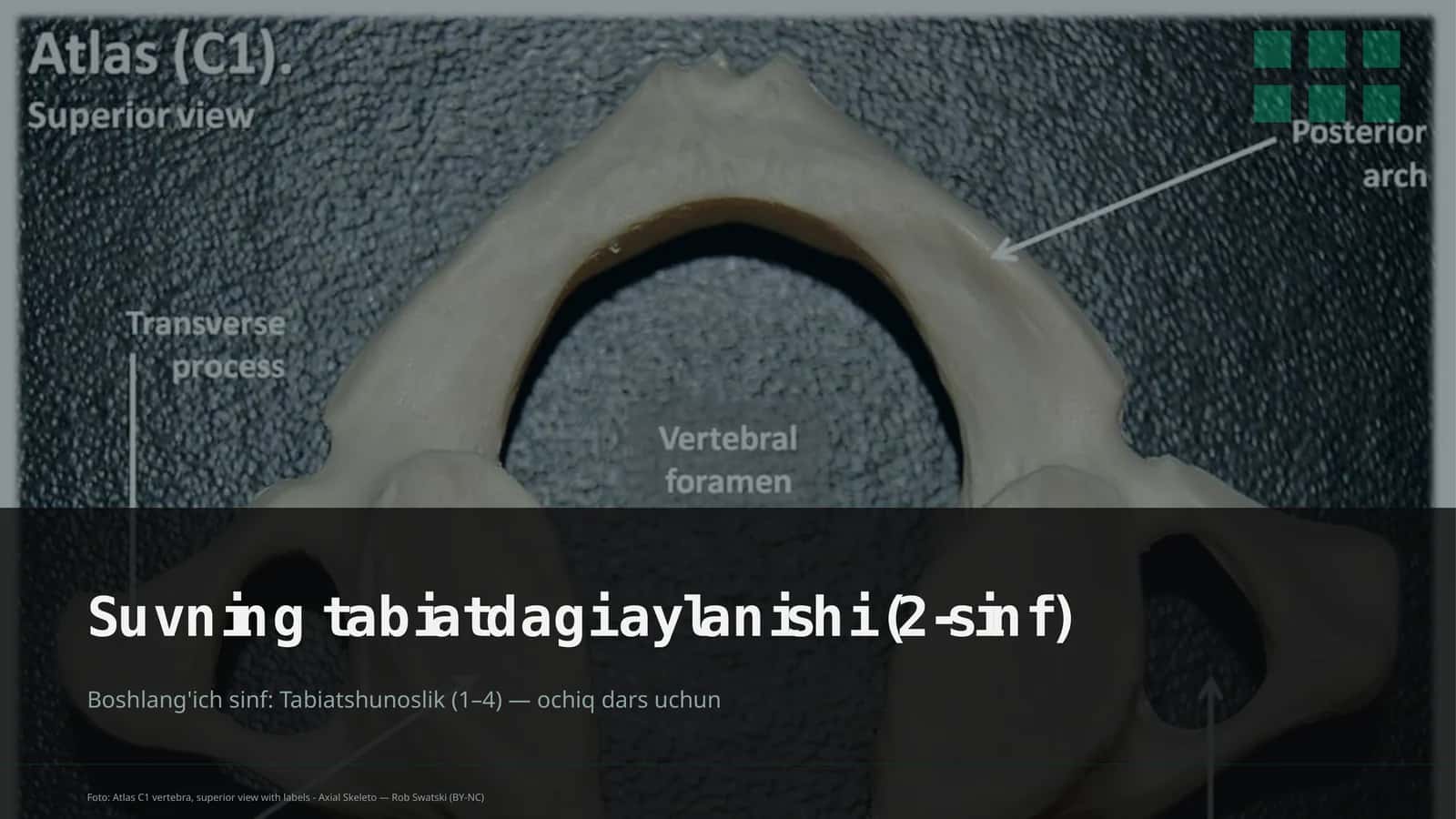 Suvning tabiatdagi aylanishi (2-sinf) 1