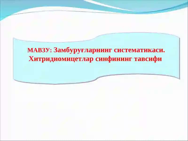 Замбуруғларнинг систематикаси. Хитридиомицетлар синфининг тавсифи