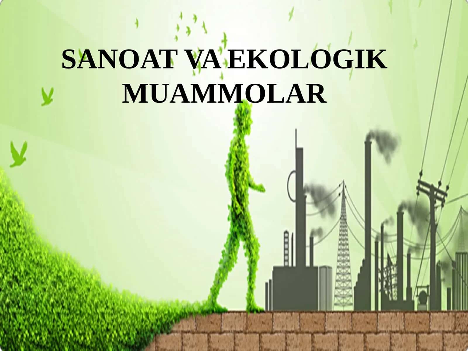 SANOAT VA EKOLOGIK MUAMMOLAR 1