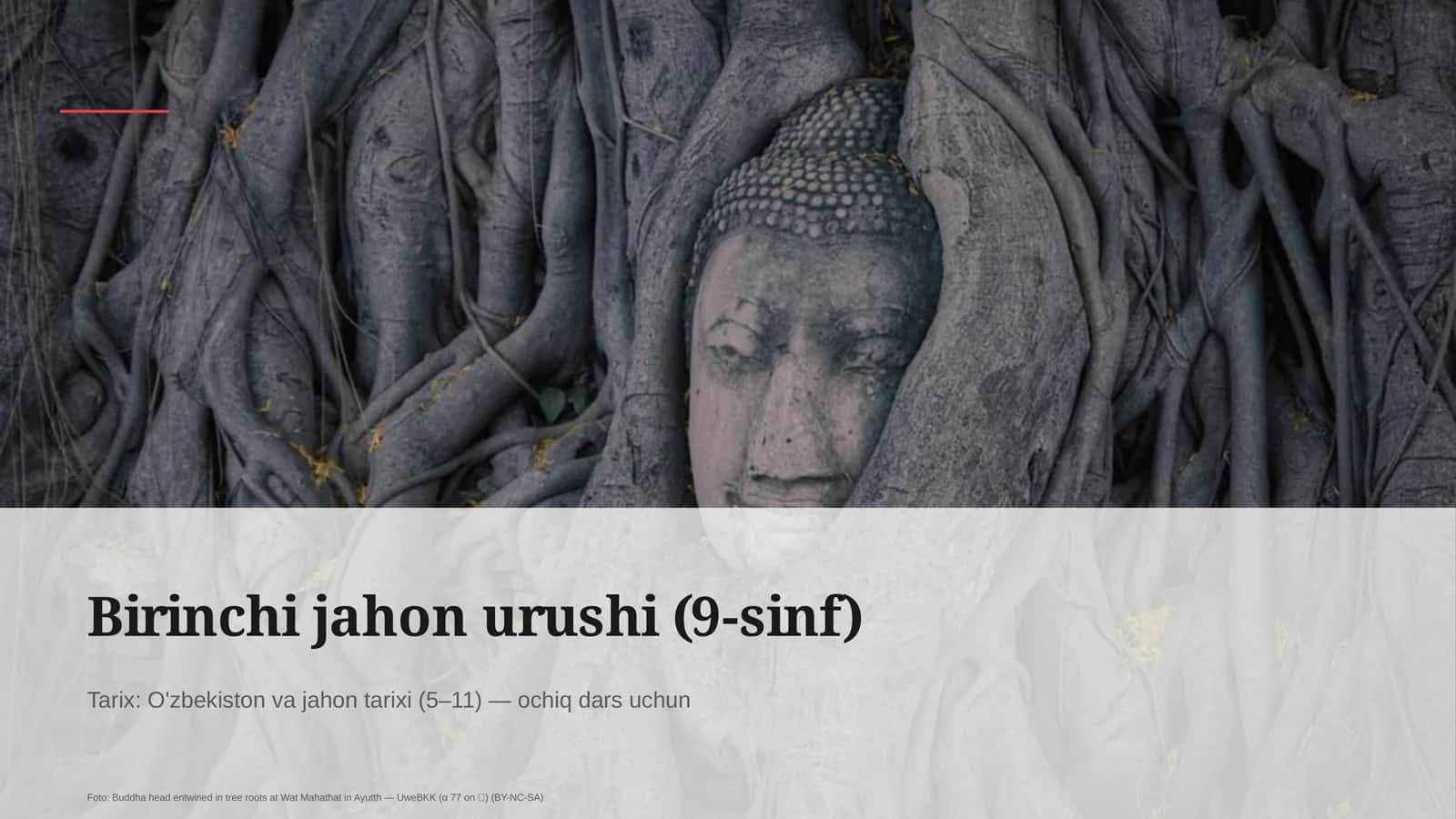 Birinchi jahon urushi (9-sinf) 1