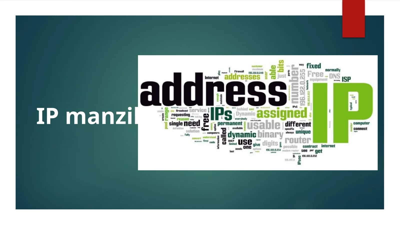 IP manzil 1