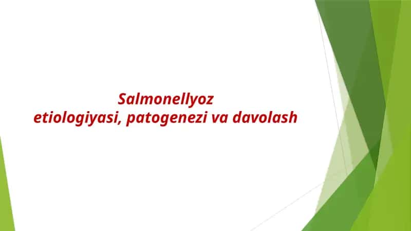 Salmonellyoz etiologiyasi, patogenezi va davolash 1
