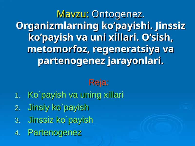 Ontogenez 1