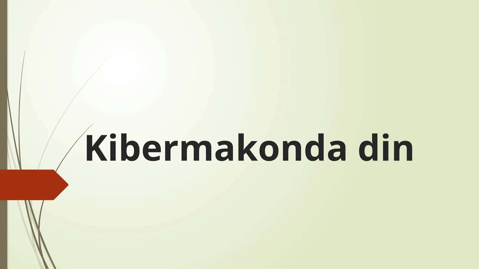 Kibermakonda din 1